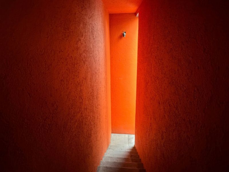 imagen galería