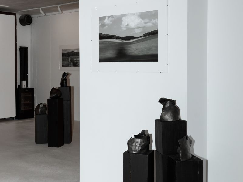 imagen galería