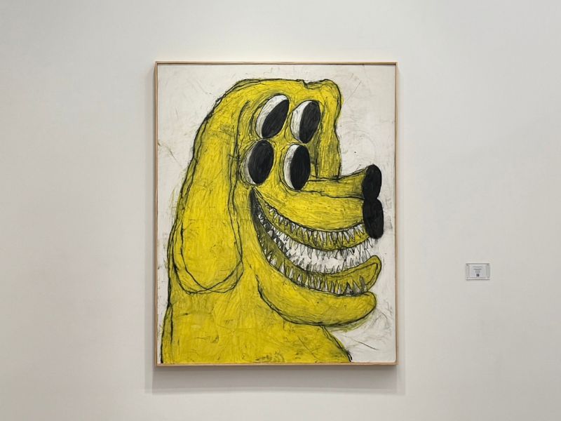 imagen galería
