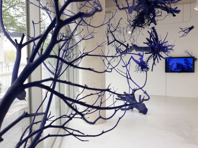 imagen galería