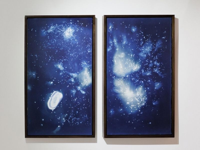 imagen galería