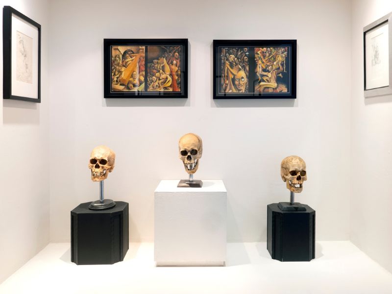 imagen galería
