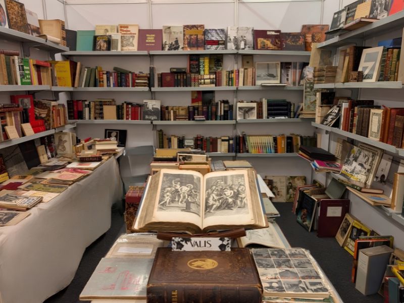 imagen galería