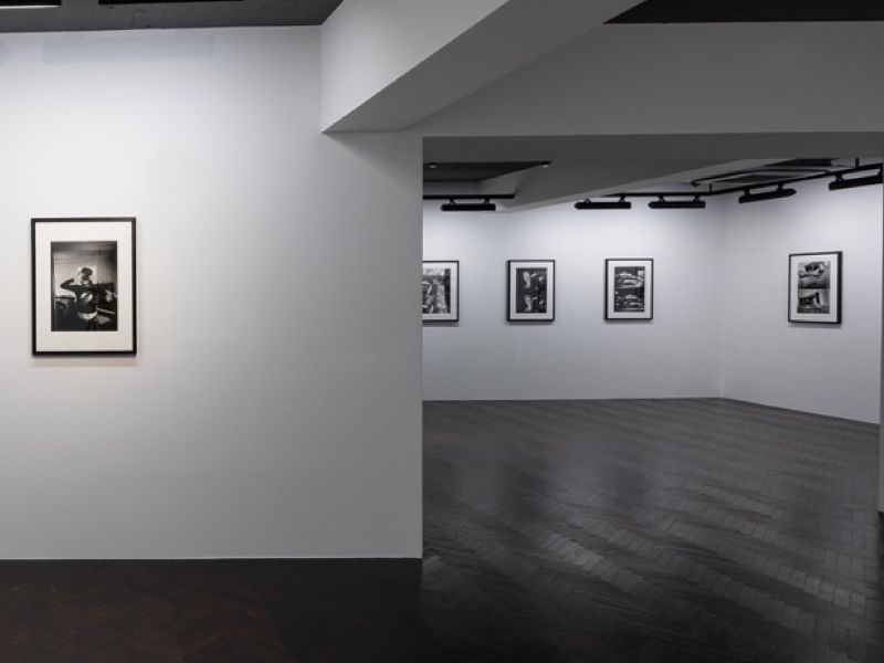 imagen galería